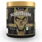 Kevin-Levrone-Scatterbrain-0