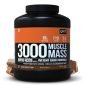 QNT Muscle Mass 3000 3Kg