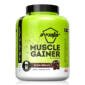 avvatar muscle gainer 2kg