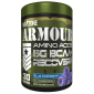 Warzone Armour Amino Acids BCAA - 300 Grams/30 Servings