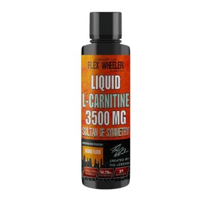 L-Carnitine - 31 Servings (473ml) | Liquid Energy Boost and Fat Metabolism Support (Orange)